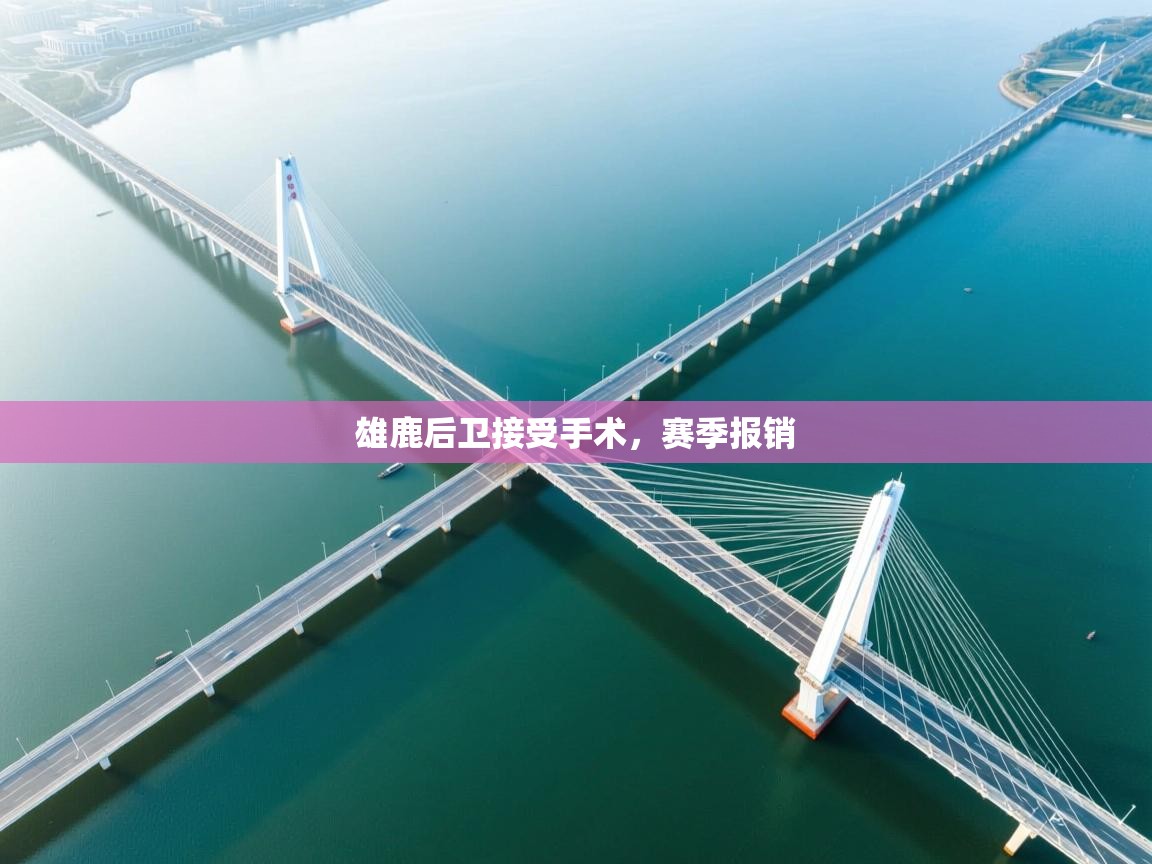 雄鹿后卫接受手术，赛季报销  第2张