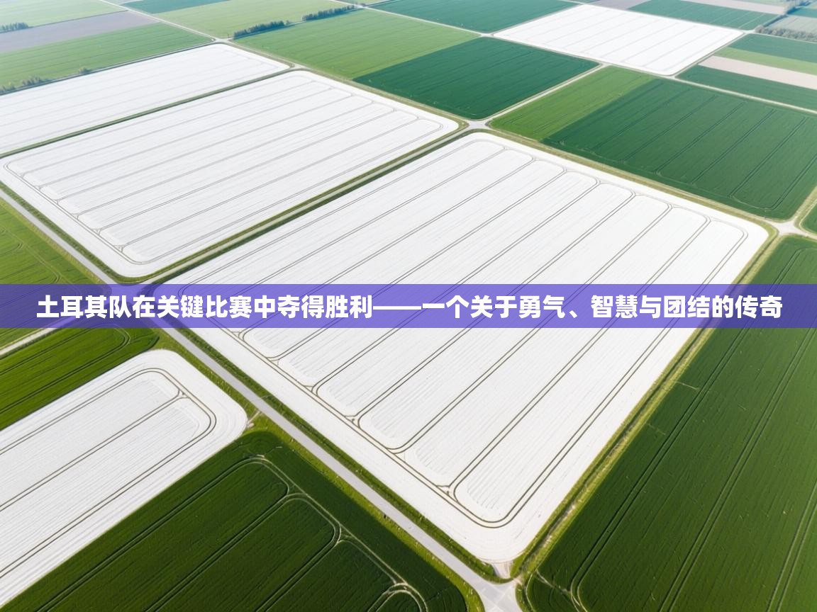 土耳其队在关键比赛中夺得胜利——一个关于勇气、智慧与团结的传奇
